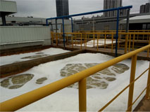 彩运网(中国游) - 官方网站