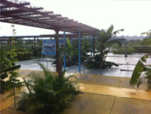 彩运网(中国游) - 官方网站